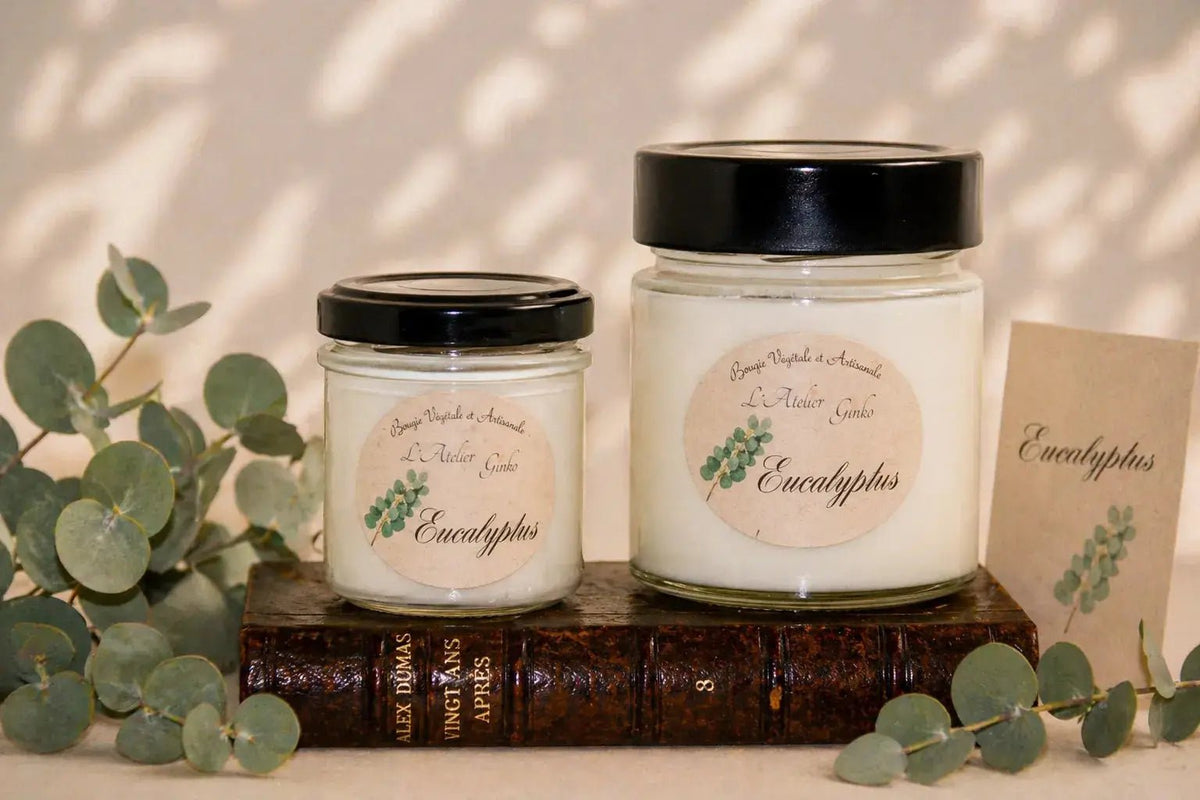 Bougie parfumée Eucalyptus cire de soja artisanale L'Atelier Ginko Moselle