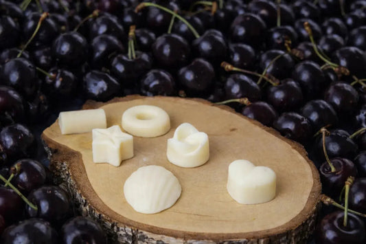 Fondants cire végétale fruités pour brule-parfum - L'Atelier Ginko