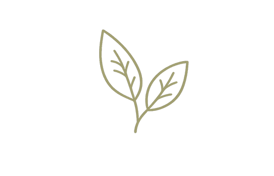 Cire végétale de soja et parfums de Grasse – L'Atelier Ginko