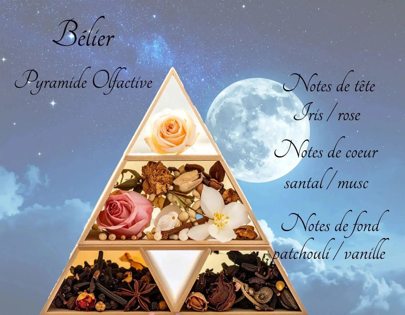 Bougie Astrologique Bélier - L'Atelier Ginko - Boutique en Ligne