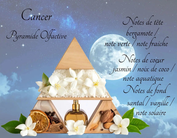 Bougie Astrologique Cancer - L'Atelier Ginko - Boutique en Ligne