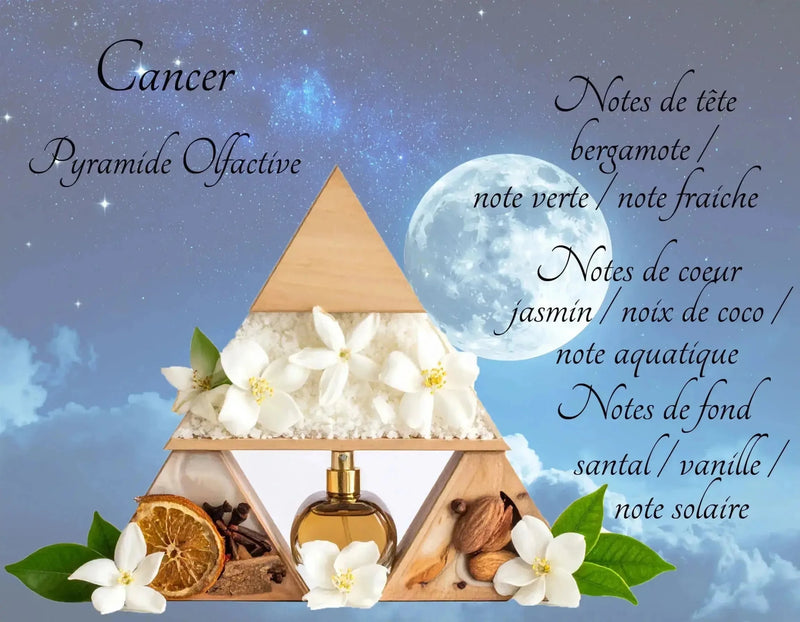 Bougie Astrologique Cancer - L'Atelier Ginko - Boutique en Ligne