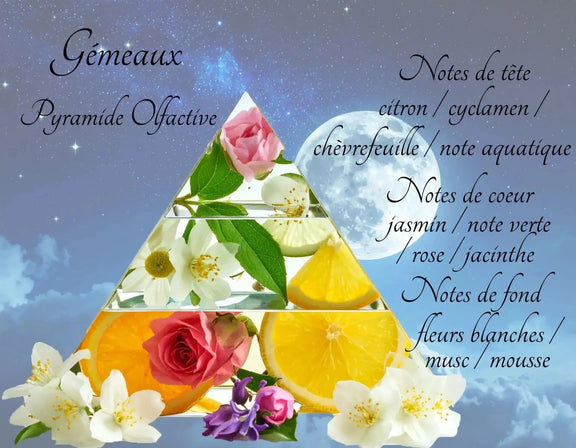 Bougie Astrologique Gémeaux - L'Atelier Ginko - Boutique en Ligne