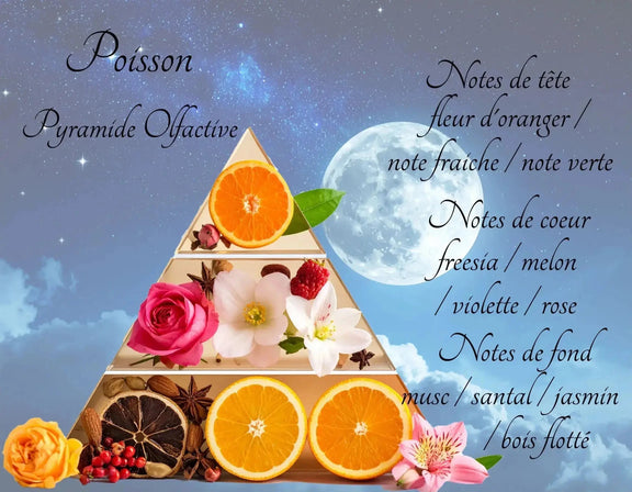 Bougie Astrologique Poisson - L'Atelier Ginko - Boutique en Ligne