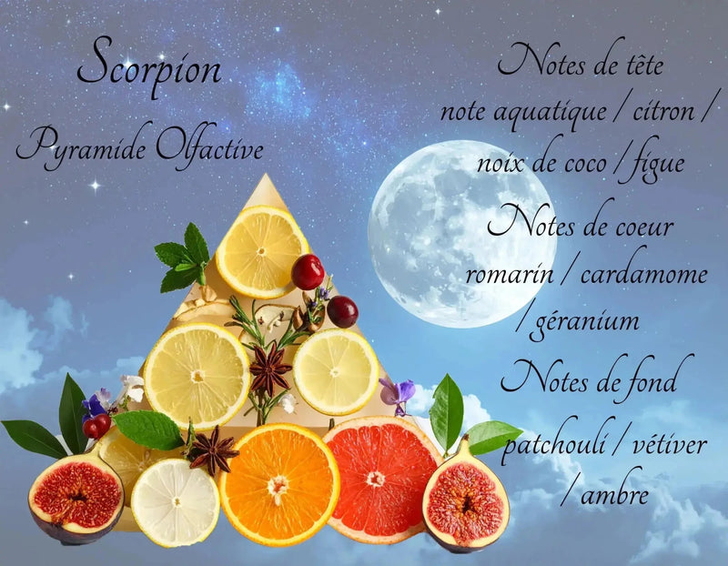 Bougie Astrologique Scorpion - L'Atelier Ginko - Boutique en Ligne