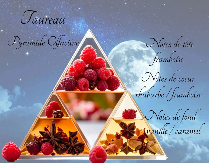 Bougie Astrologique Taureau - L'Atelier Ginko - Boutique en Ligne