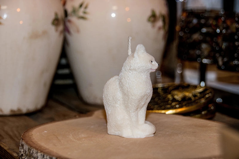 Bougie Chat - L'Atelier Ginko - Boutique en Ligne