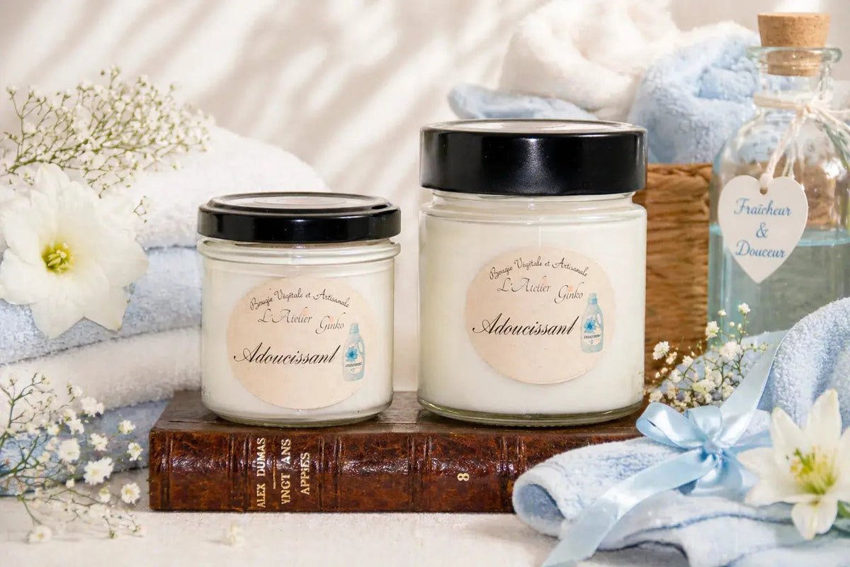 Bougie parfumée Adoucissant cire de soja artisanale L'Atelier Ginko Moselle