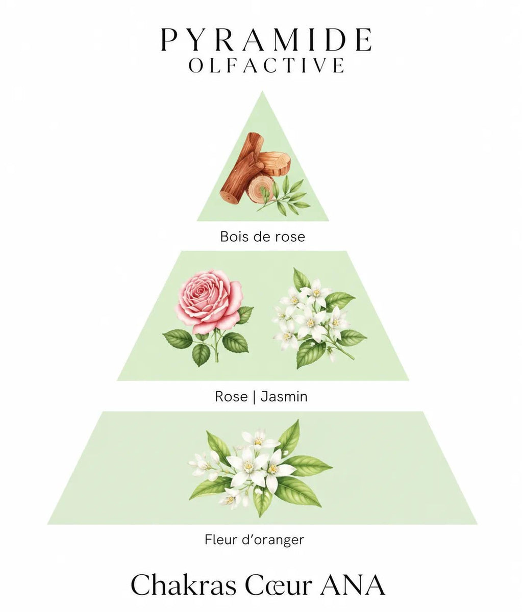 Bougie parfumée Chakras Cœur ANA - L'Atelier Ginko - Boutique en Ligne