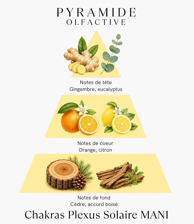 Bougie parfumée Chakras Plexus Solaire MANI - L'Atelier Ginko - Boutique en Ligne