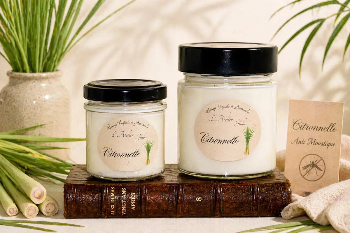 Bougie parfumée Citronnelle cire de soja artisanale L'Atelier Ginko Moselle