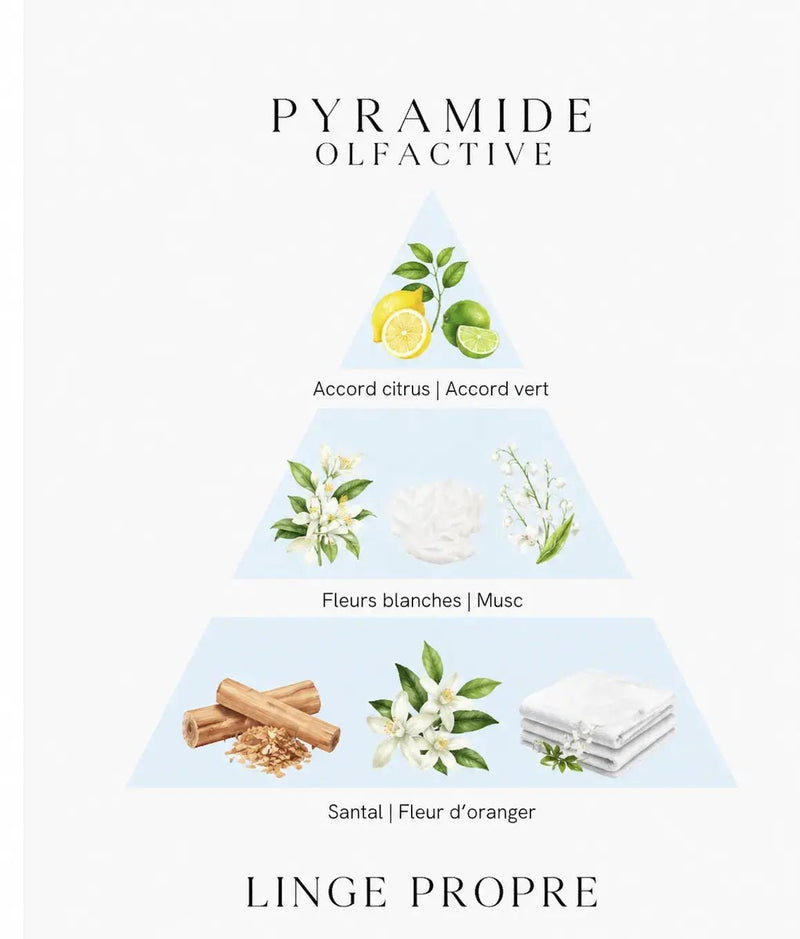 Bougie parfumée Linge Propre - L'Atelier Ginko - Boutique en Ligne