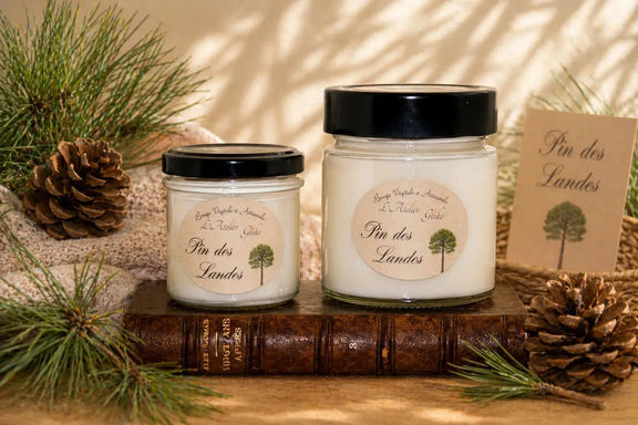 Bougie parfumée Pin des Landes cire de soja artisanale - L'Atelier Ginko