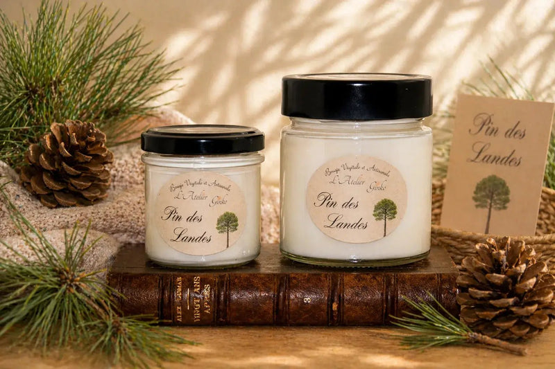 Bougie parfumée Pin des Landes cire de soja artisanale - L'Atelier Ginko