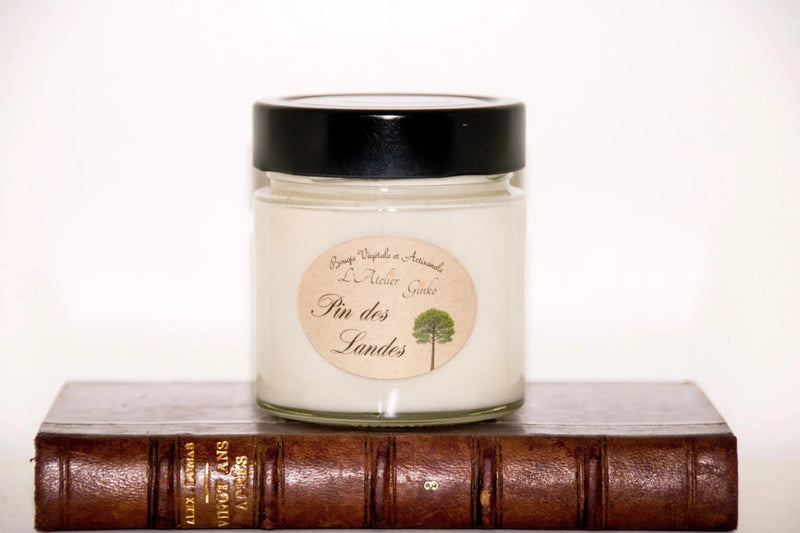 Bougie parfumée Pin des Landes cire de soja artisanale - L'Atelier Ginko
