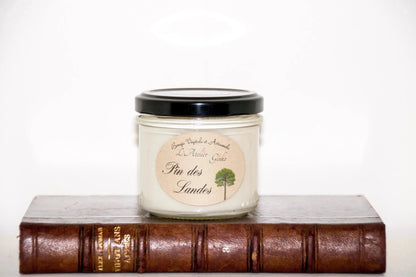 Bougie parfumée Pin des Landes cire de soja artisanale - L'Atelier Ginko