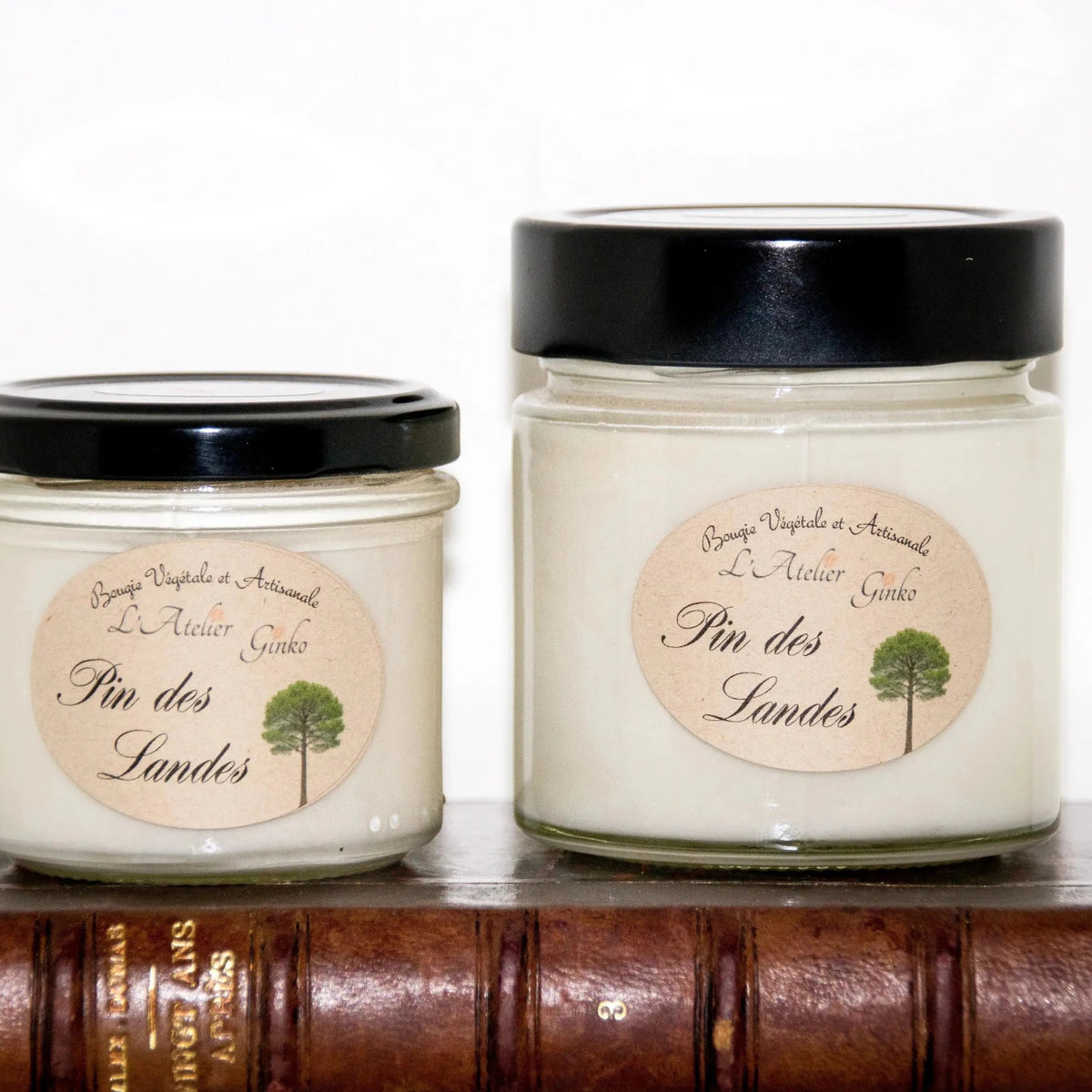Bougie parfumée Pin des Landes cire de soja artisanale - L'Atelier Ginko