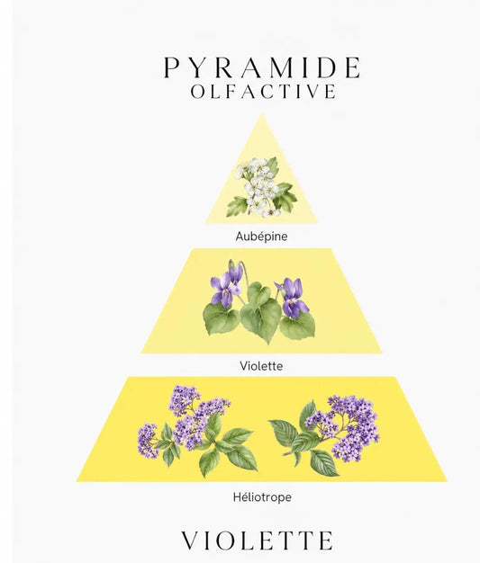 Bougie parfumée Violette - L'Atelier Ginko - Boutique en Ligne