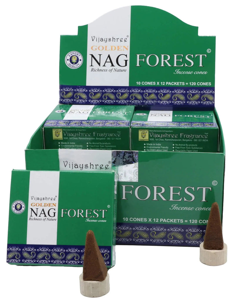 Cônes Naturels, la boîte de 10 cônes (+ 1 mini porte - encens) - L'Atelier Ginko - Boutique en Ligne