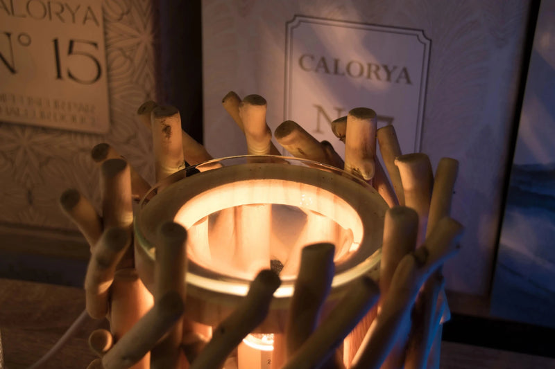 Diffuseur électrique Calorya 7 - L'Atelier Ginko - Boutique en Ligne