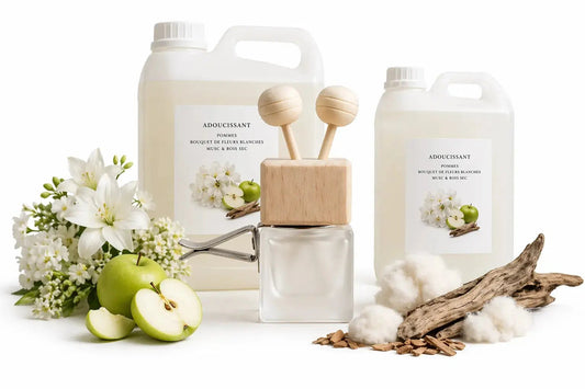 Diffuseur Voiture Adoucissant - L'Atelier Ginko - Boutique en Ligne