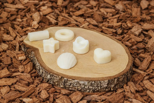 Fondants cire végétale boisés pour brule-parfum - L'Atelier Ginko