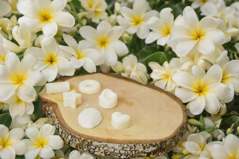 Fondants parfumés artisanaux Florales - L'Atelier Ginko - Boutique en Ligne
