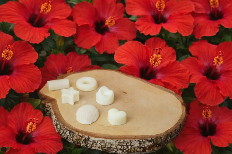 Fondants parfumés artisanaux Florales - L'Atelier Ginko - Boutique en Ligne