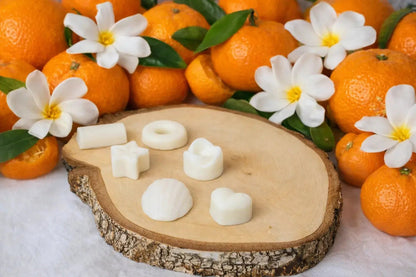 Fondants cire végétale florals pour brule-parfum - L'Atelier Ginko