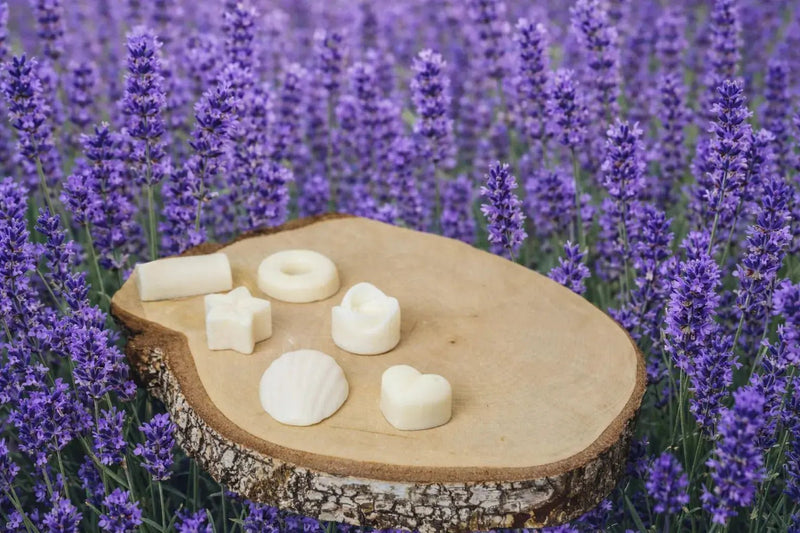 Fondants parfumés artisanaux Florales - L'Atelier Ginko - Boutique en Ligne