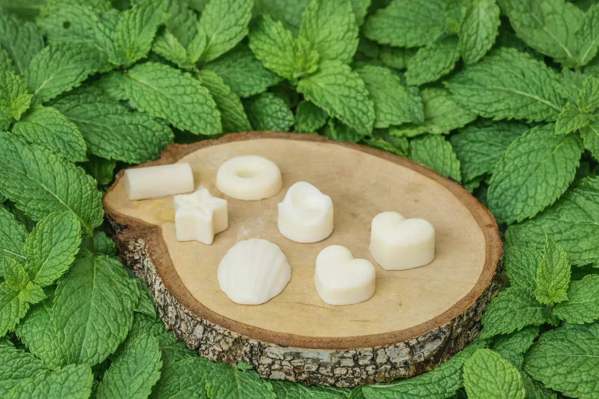 fondants parfumés artisanaux Frais et cocooning L'Atelier Ginko - Boutique en Ligne