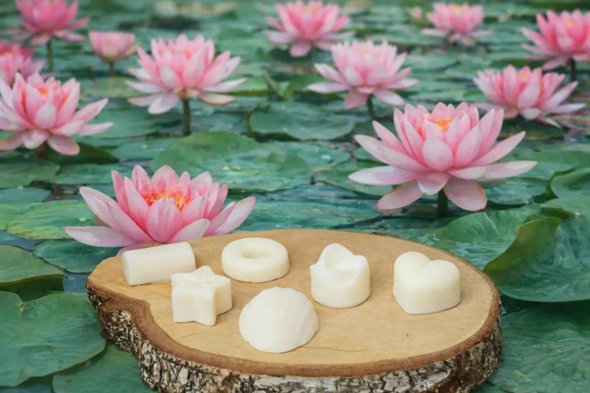 fondants parfumés artisanaux Frais et cocooning L'Atelier Ginko - Boutique en Ligne