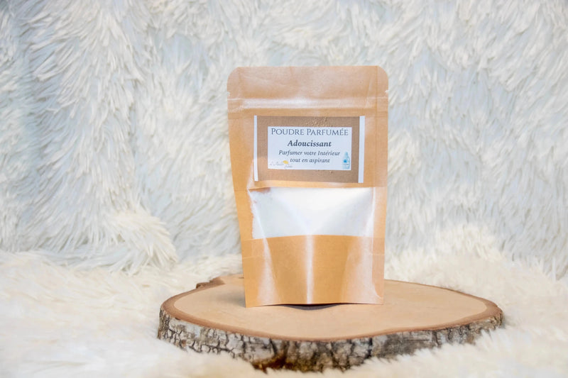 Poudre d'Aspirateur Adoucissant - L'Atelier Ginko - Boutique en Ligne